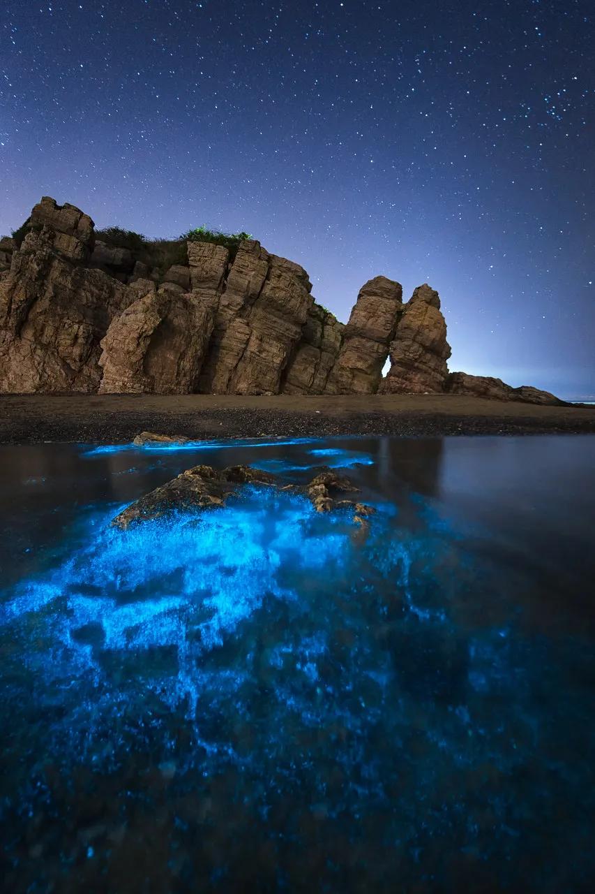 三亚和厦门哪一个更值得去旅游,三亚和厦门哪个地方值得去