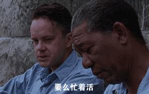 搞笑gif每日一笑,每日搞笑gif排行榜