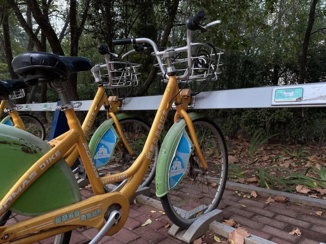 邯郸公共电动自行车,邯郸公共自行车现在能用吗