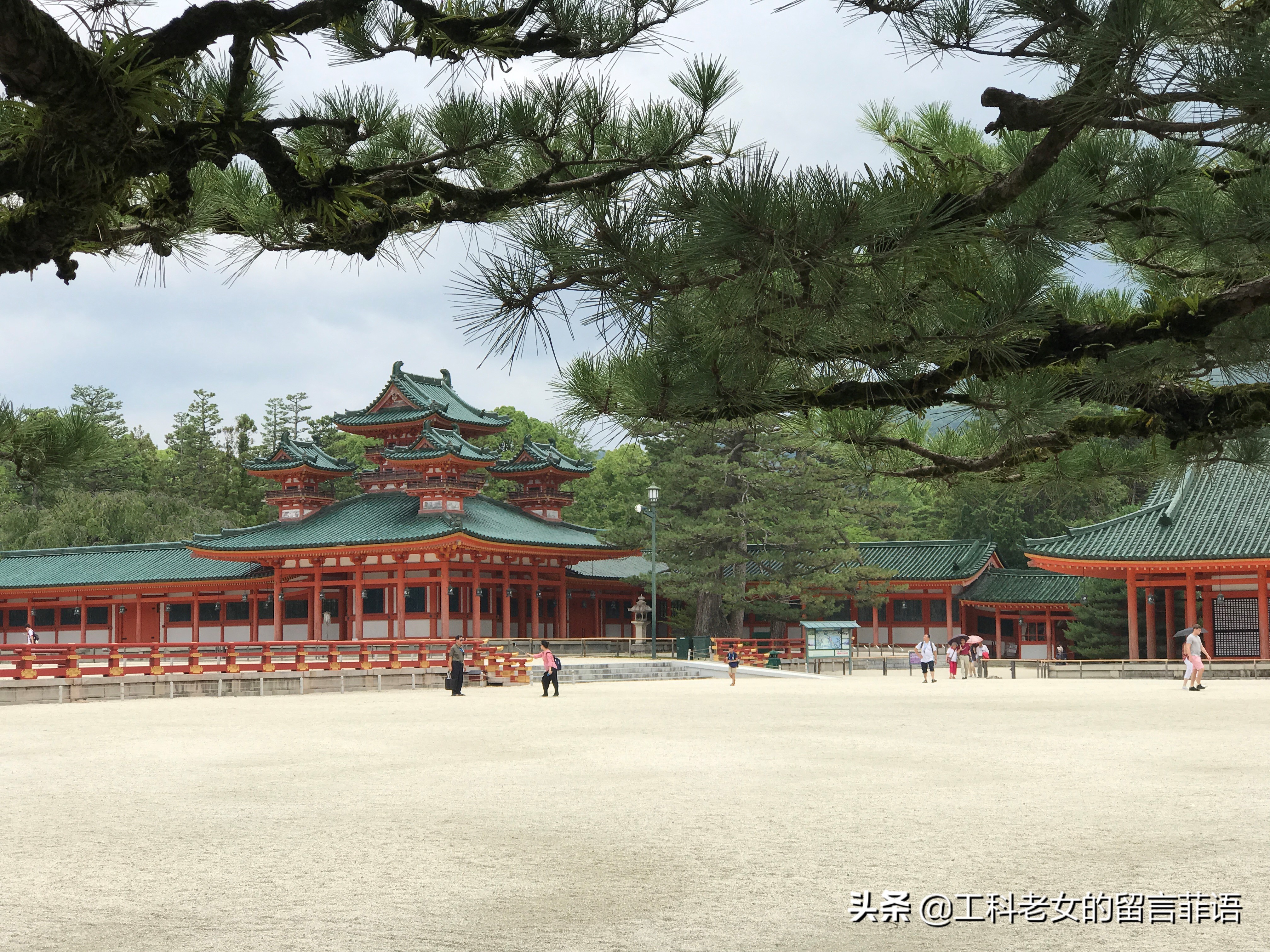 京都之因喜欢这神社的名字就在此卜了一签,却不认字