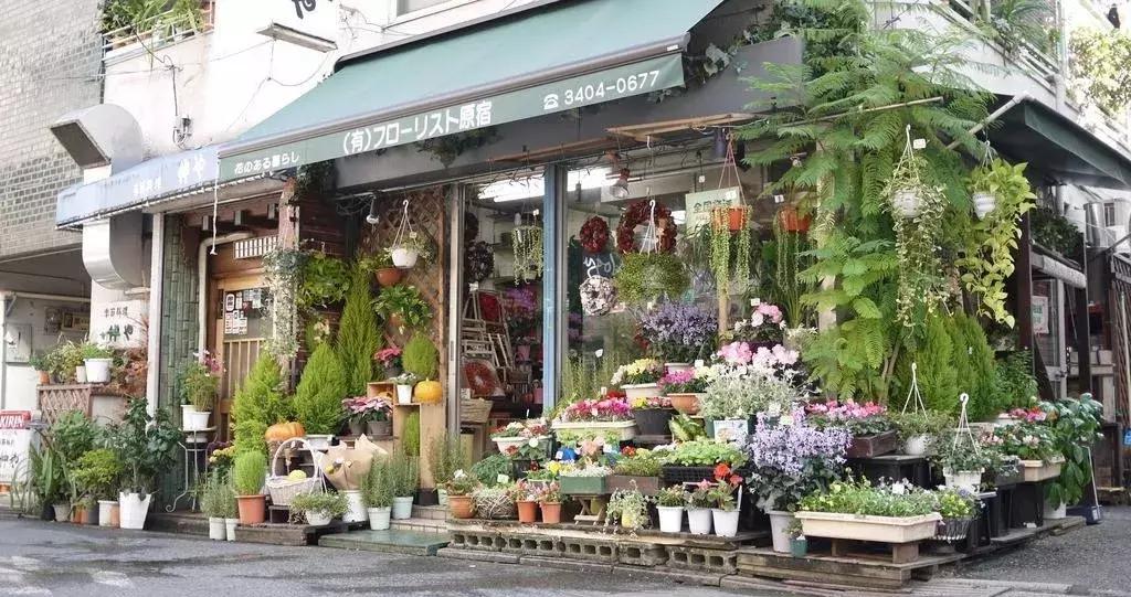 新手开花店怎样入门,怎么快速学开花店