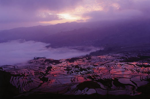 以自然之名怎么样,以自然之名是什么意思