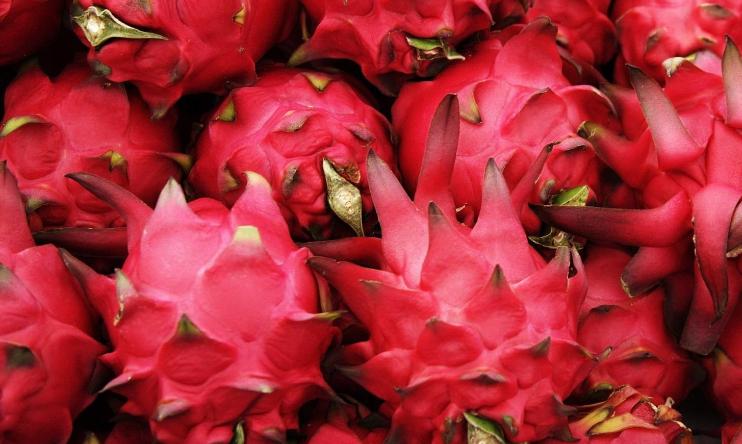 怎么买火龙果又香又甜,买火龙果怎么挑好吃