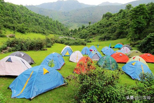 推荐5个农村创业项目,农村4个冷门创业项目解析