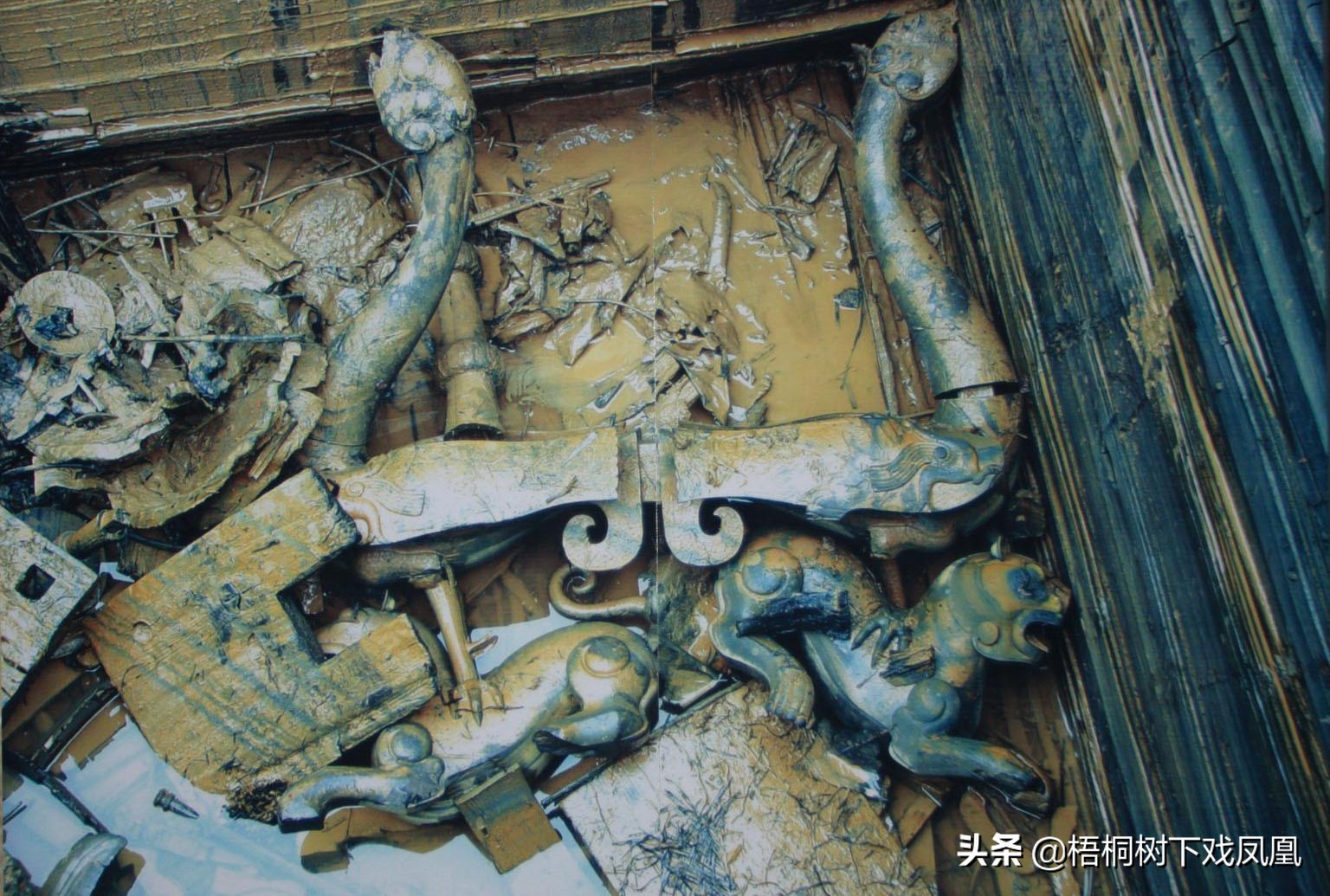 从盗猎者手里买动物放生,从盗墓者手中抢出的国宝玉器