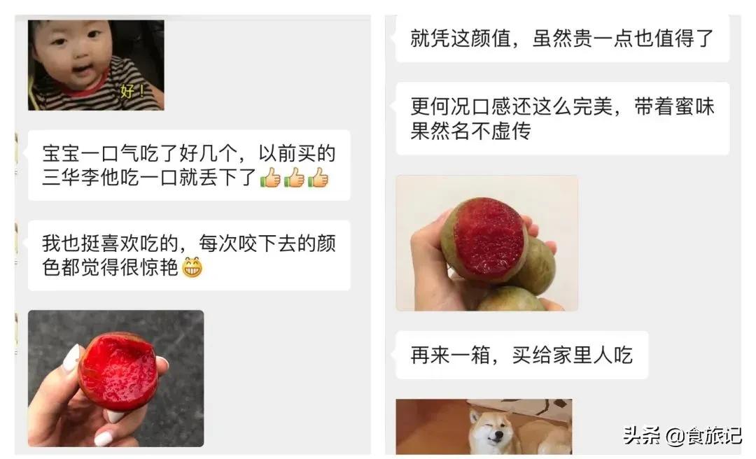 正宗的三华李水果,摘三华李酸甜脆口特解馋