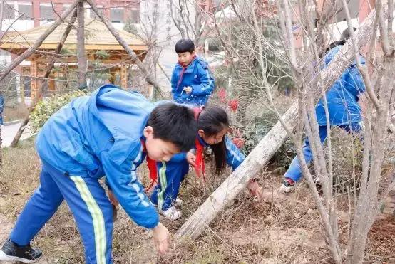 学雷锋的实践行动,学雷锋踏春