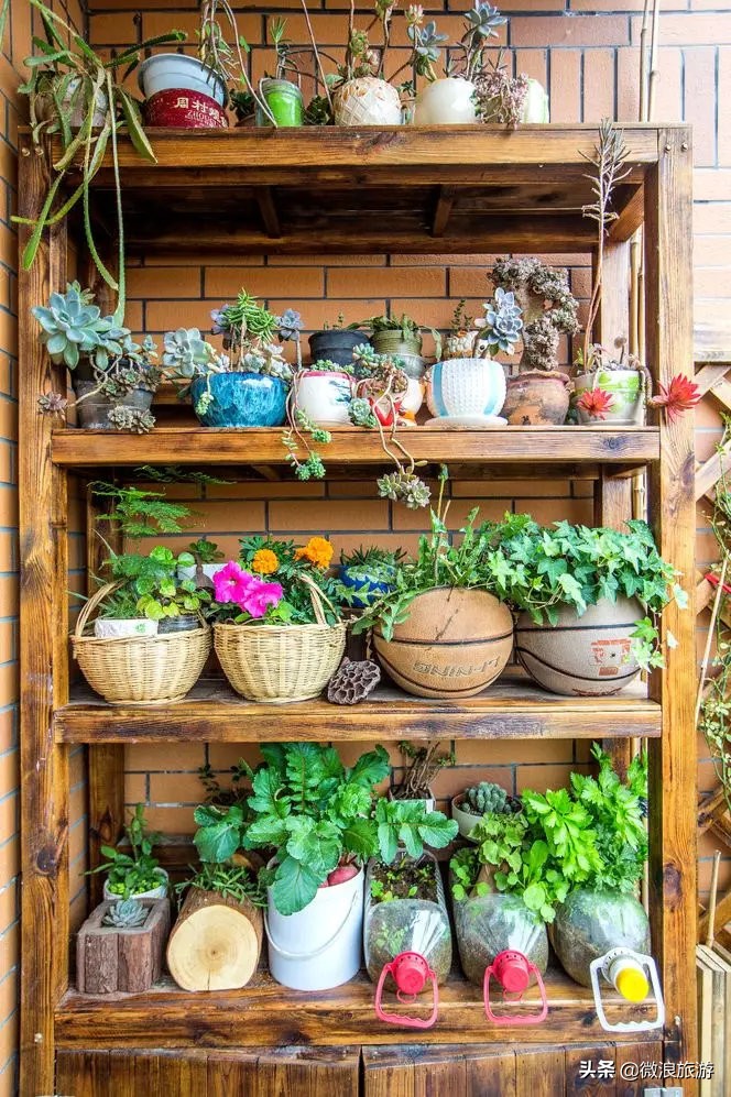 白鹭湾的“选美大赛”，谁是你心中最美的“姑娘”