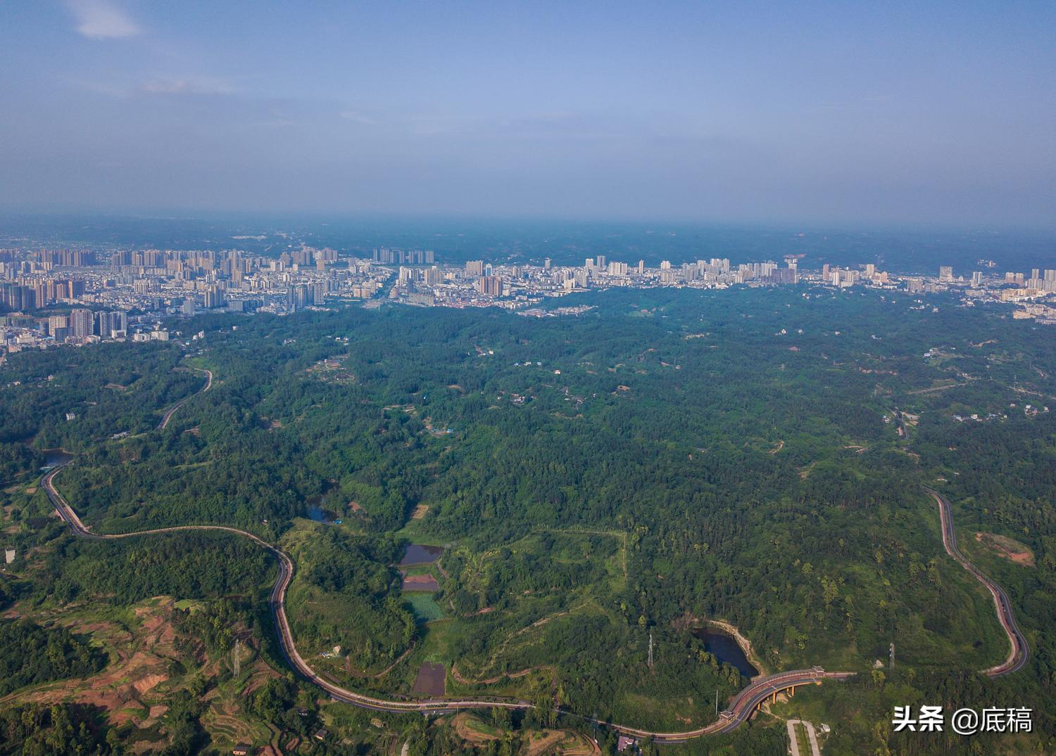 真实案件讲解女子走夜路被杀害,女子夜跑被劫杀
