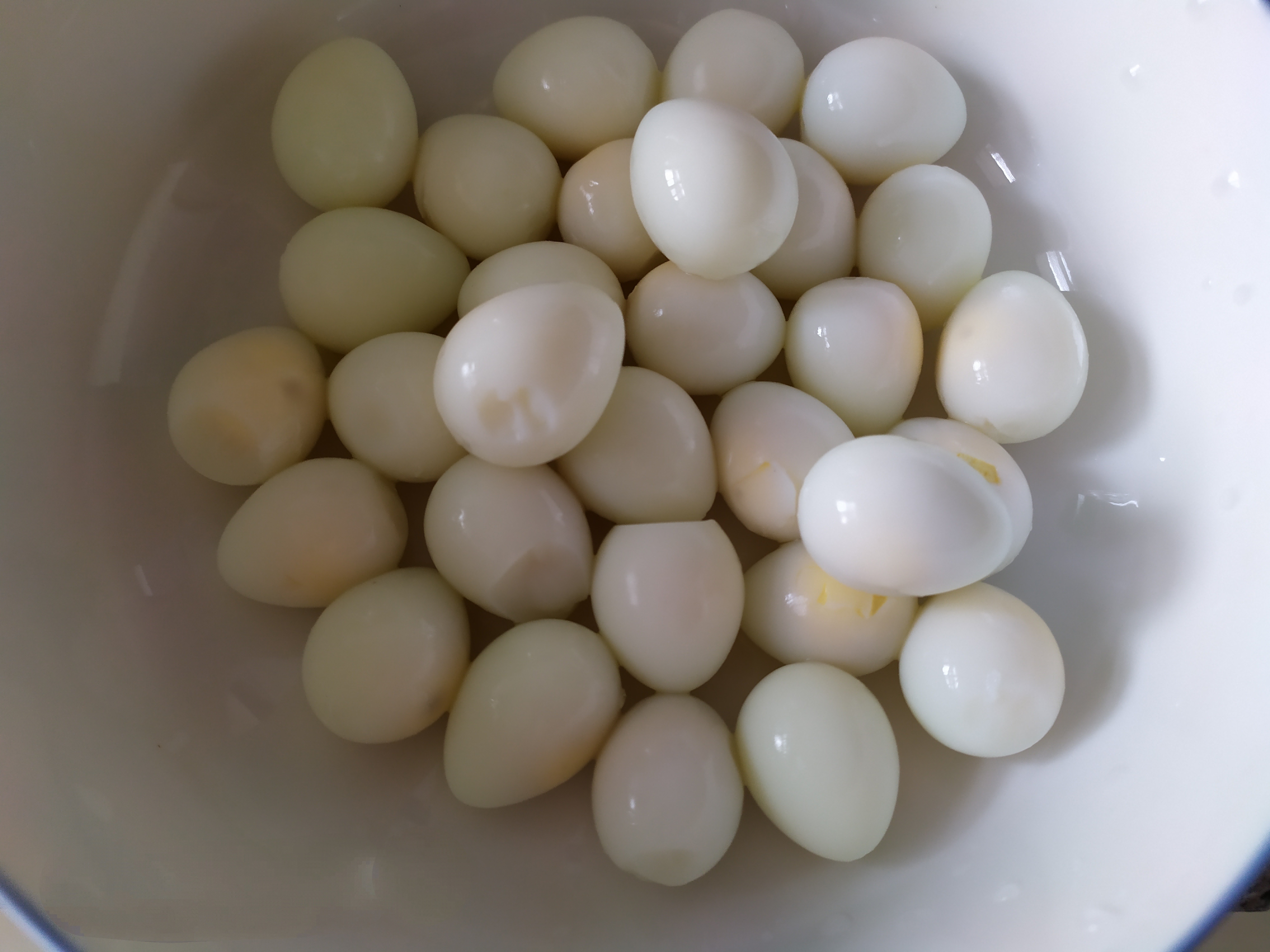 在义乌做电商可以卖什么,在义乌做电商的视频