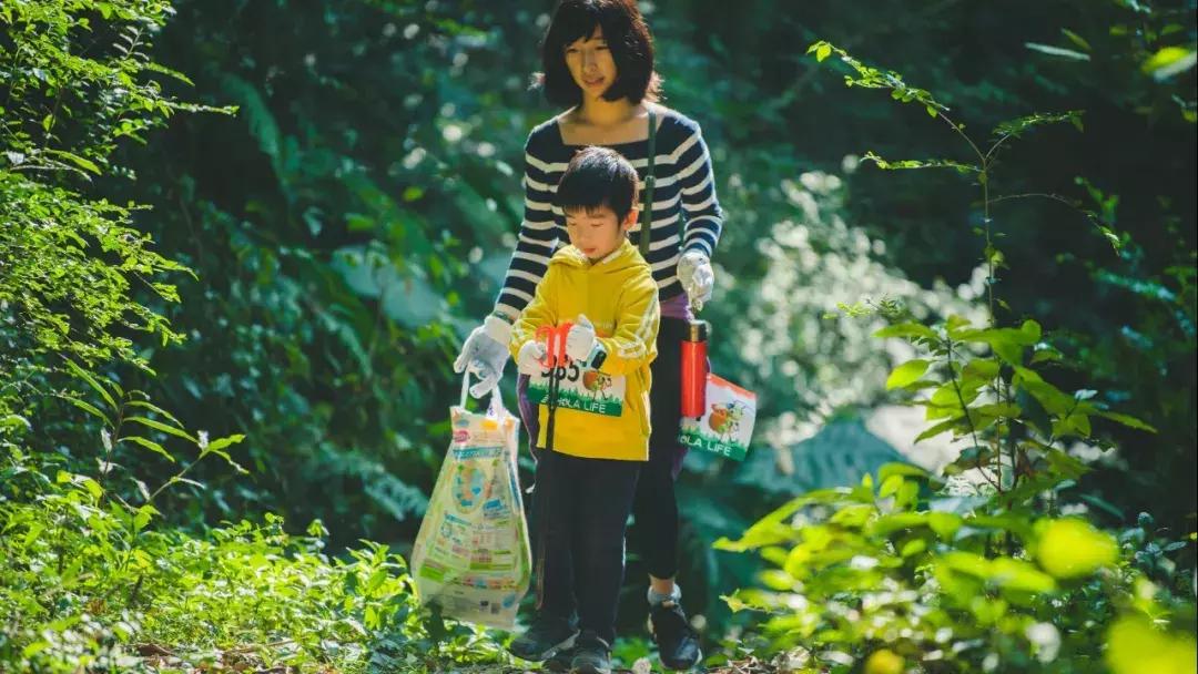 用绿色行动共建美丽家园ppt,用生态行动共建我们的绿色家园