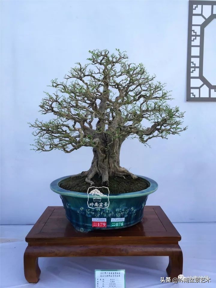 骞哥涔呬箙鐢滅敎铚滆湝,骞哥涔呬箙