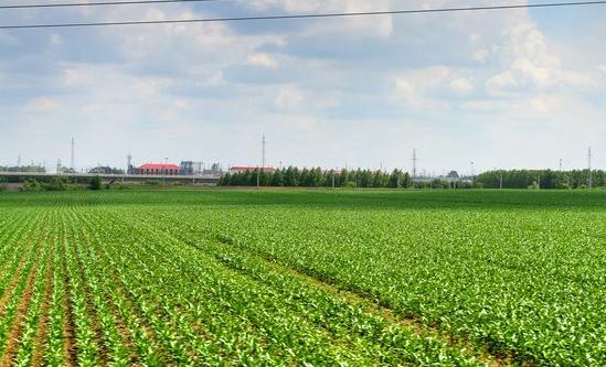 适合打工的创业方式都有哪些,如何月入过万无本钱创业22种方法