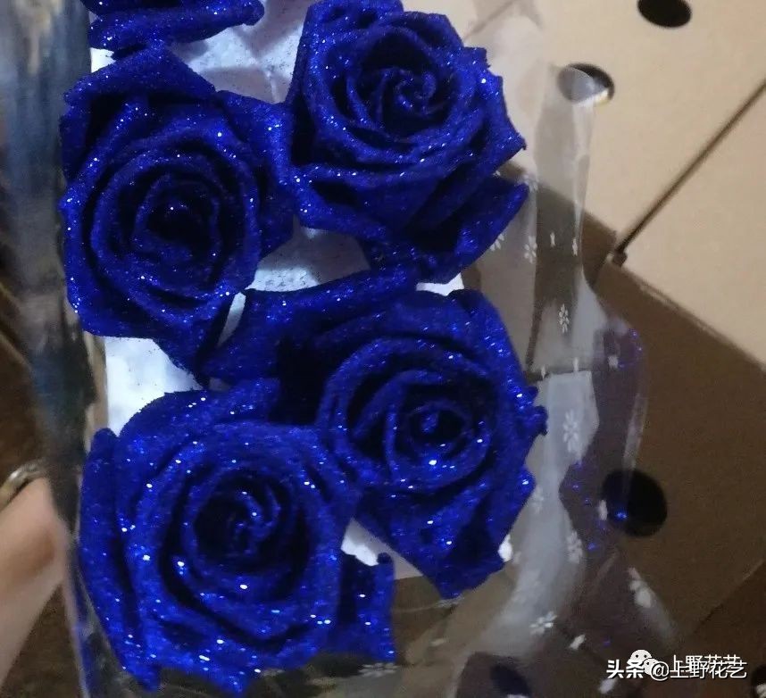 100种玫瑰高清,100种玫瑰花品种