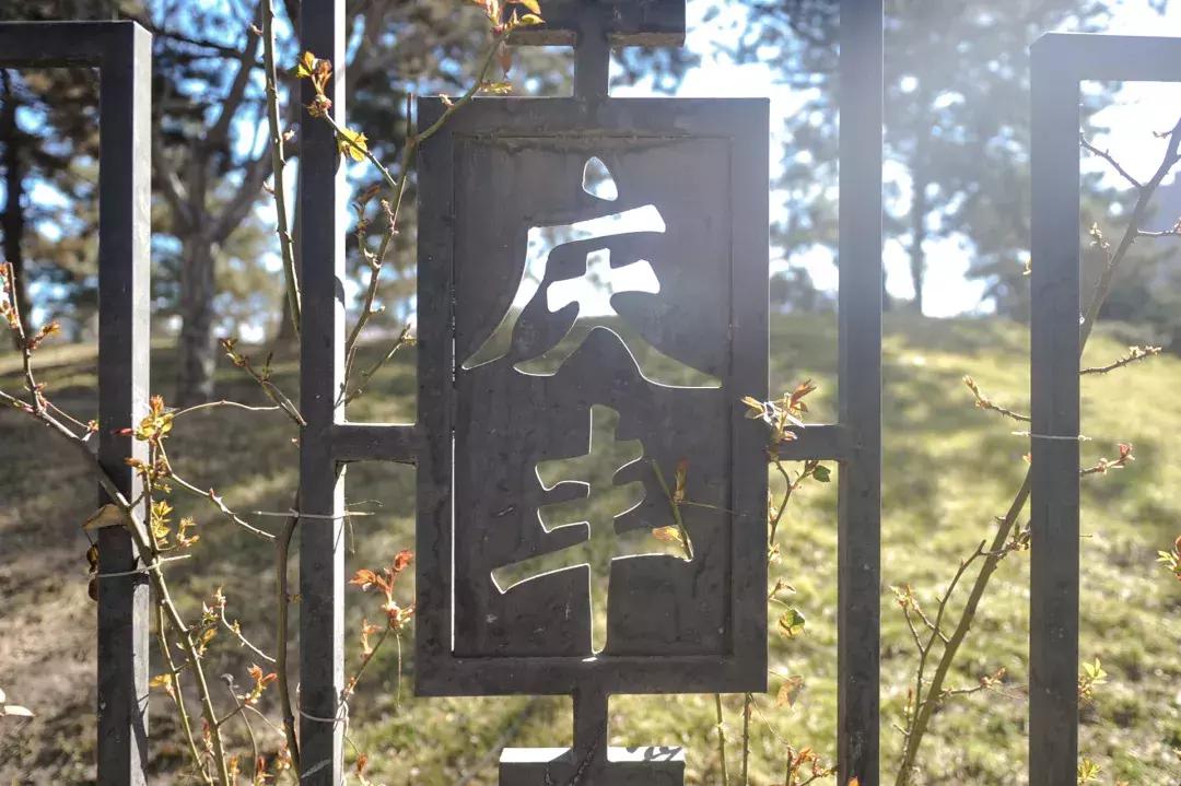 庆丰公园里,原来藏着一个“武林江湖”