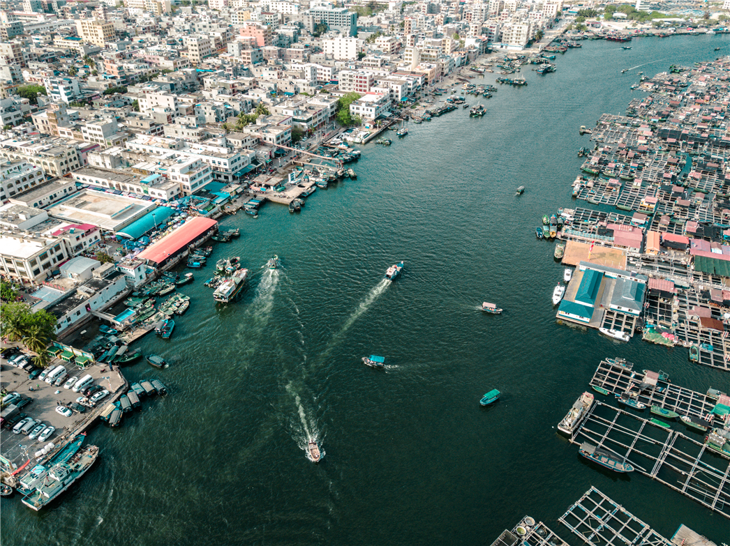 海南必玩猴岛与呆呆丨看萌呆猕猴，呆呆岛发呆