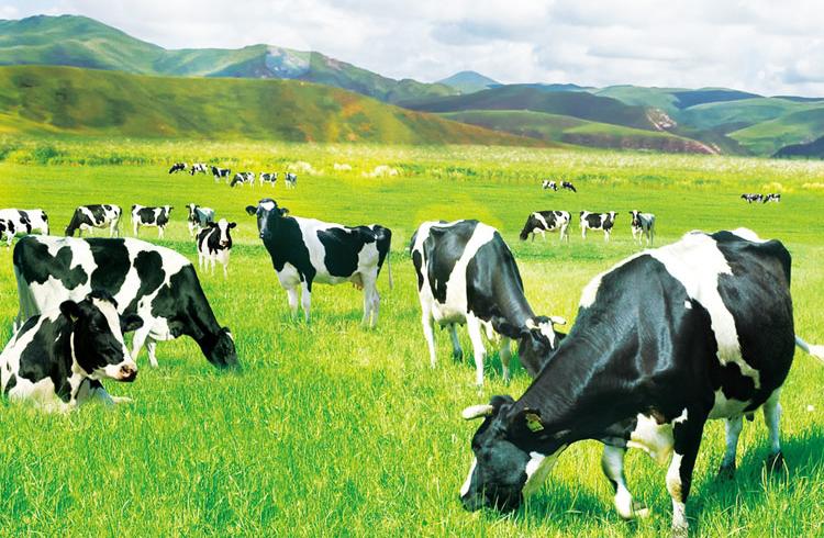 当产品竞争回归品质，62年匠心坚守成为它最大底气