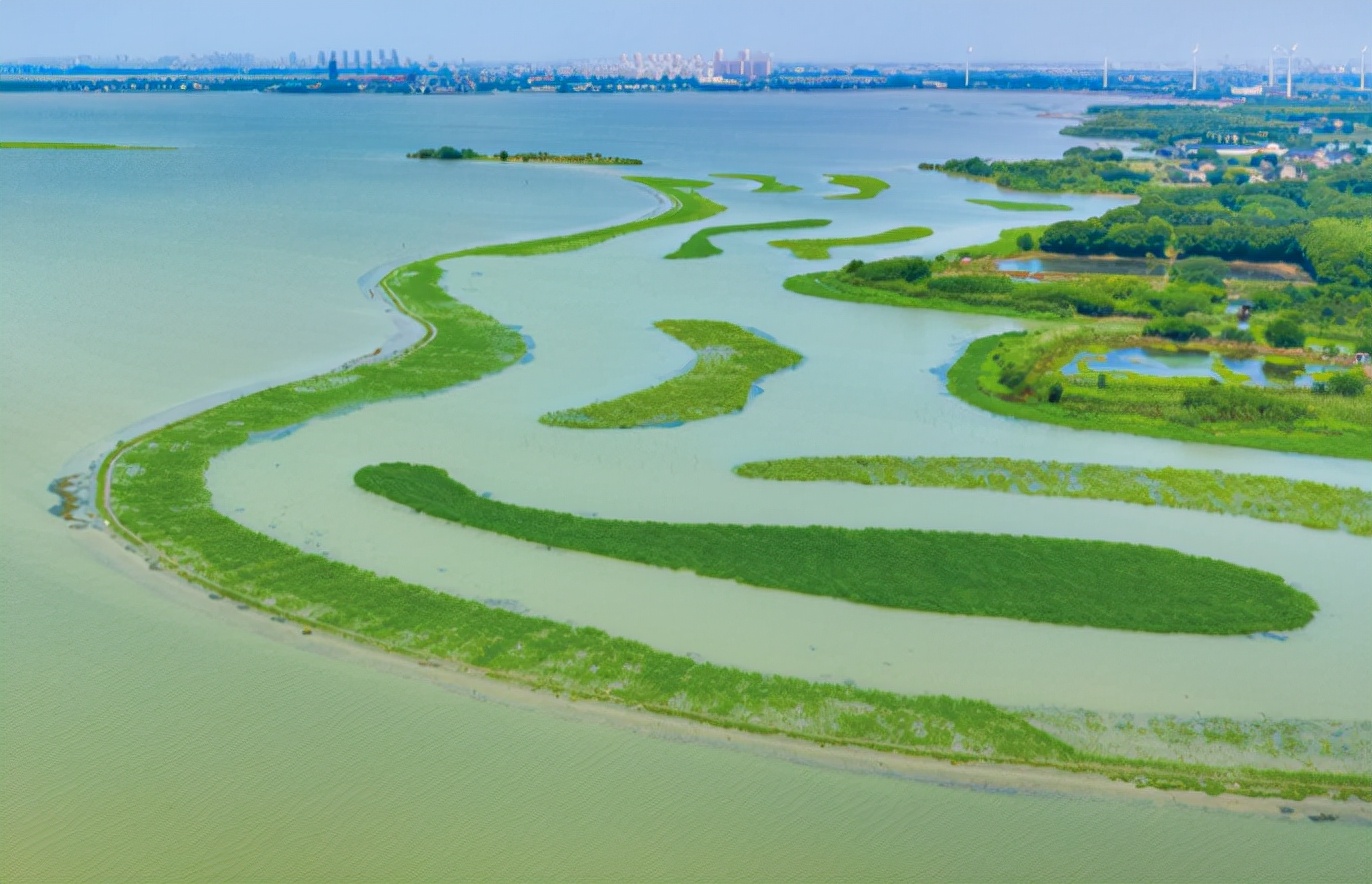 阳澄湖大闸蟹正宗的都有商标的吗,阳澄湖大闸蟹出名的真正原因