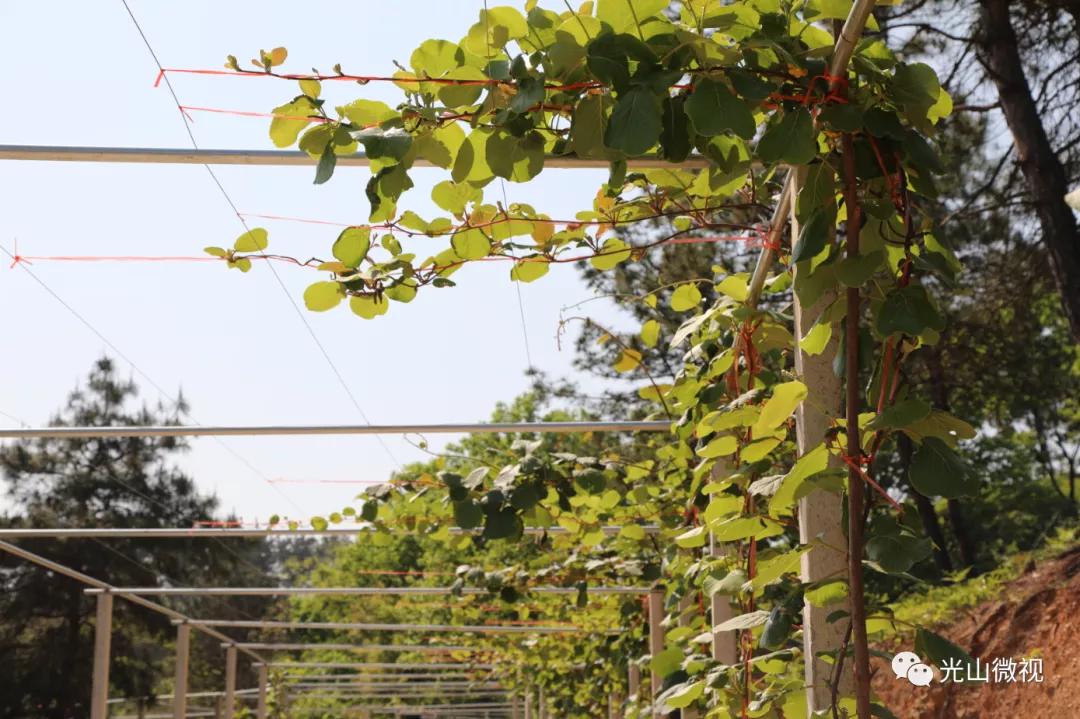 十大山清水秀风景旅游景点,风景秀美的十大必去景点排名