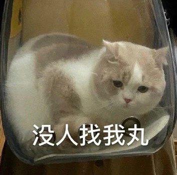 新娘开心的搞笑视频,搞笑gif开心一刻女司机上车