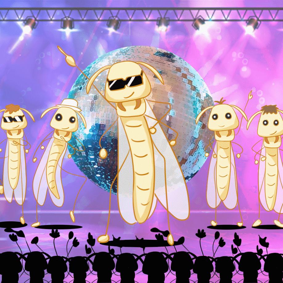 是谁在敲打我窗段子,是谁在敲打我窗片段