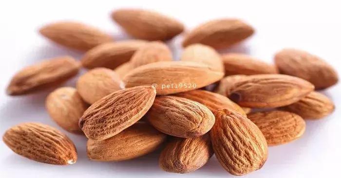 狗狗吃香蕉有什么好处,一个多月的狗狗可以吃香蕉吗