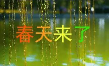 春节诗歌诗词,春节原创古诗