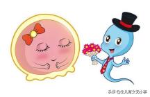 大龄青年求爱记,大龄青年的求爱记