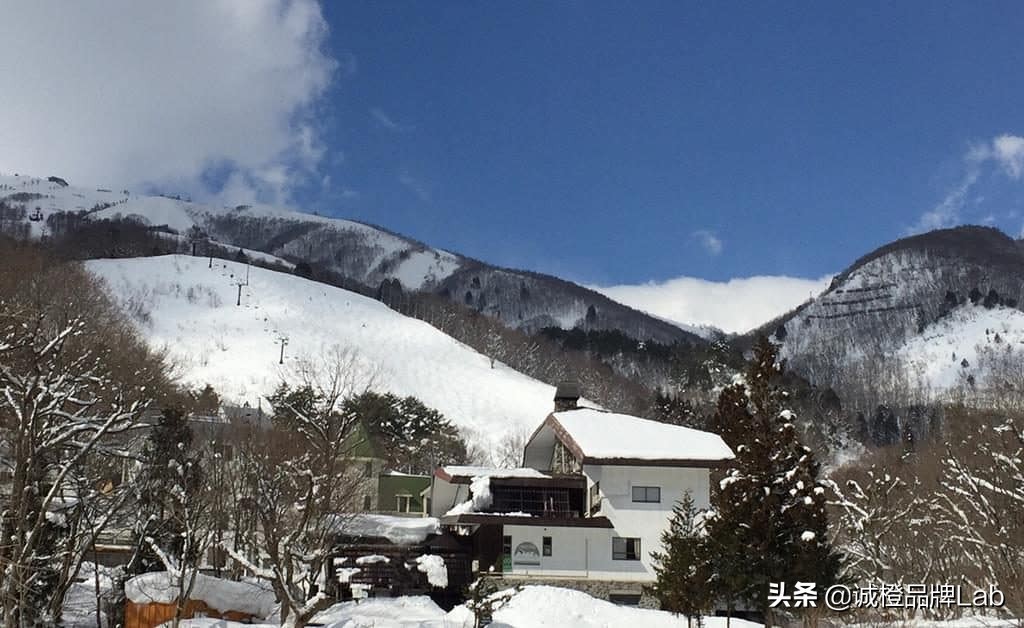 乡村内生活力,乡村发展的活力表现在诸多方面