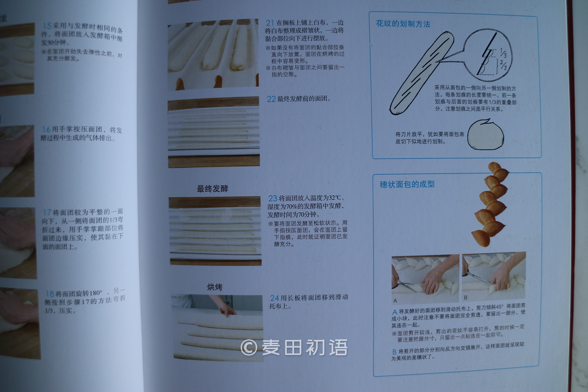 烘焙新手书,新手面包烘焙入门书