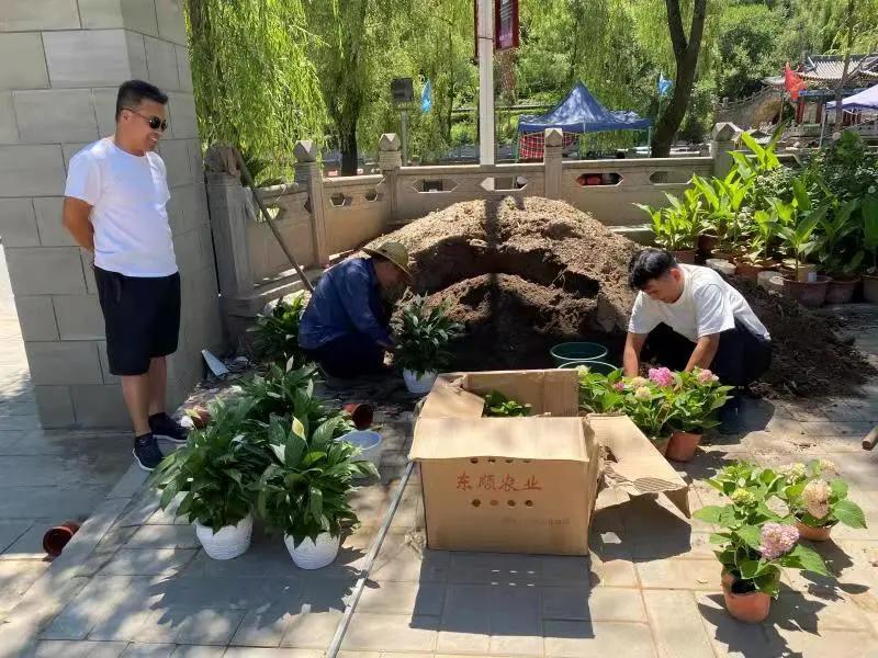 做好服务我们全力以赴,做好绿化养护工作