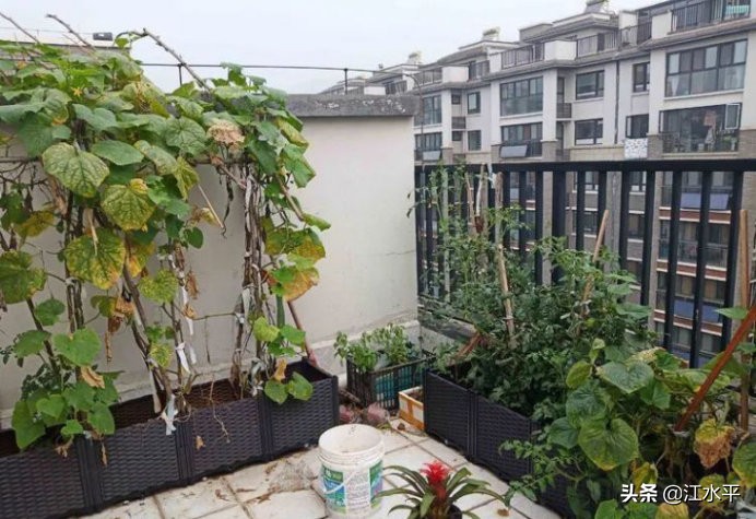 南京华府国际复式顶楼装修效果图,南京华府装修效果图