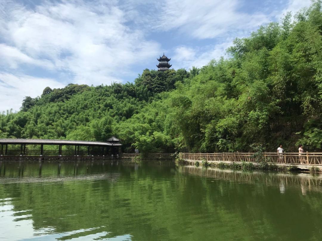 游沐川竹海,沐川周末游