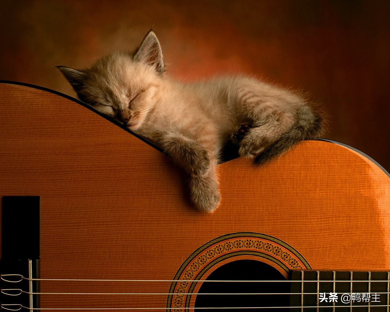 讲创业初期的故事,创业辛酸史故事有哪些