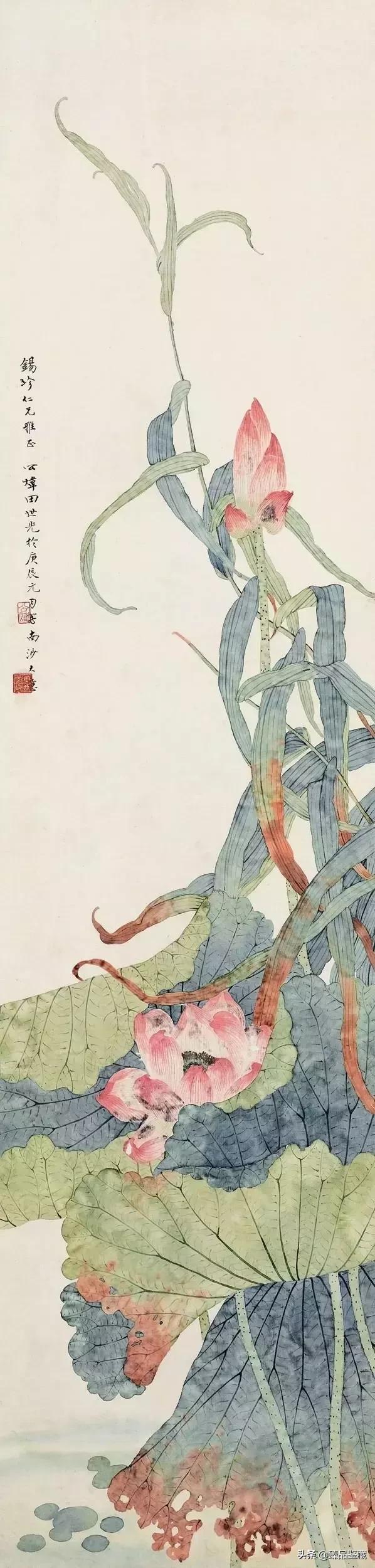 工笔大师田世光,工笔画大师田世光画孔雀好美