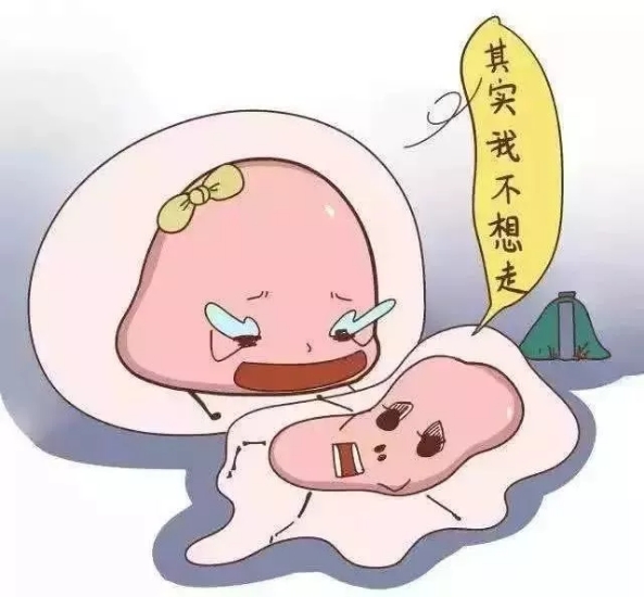 卵子怎么产生和死亡的,卵子到底是怎么死的