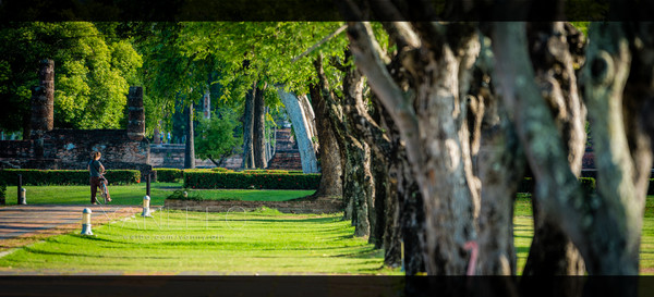 泰旅局发布2019年泰国旅游新玩法,曼谷漫游攻略