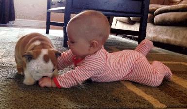 十大适合孩子养的宠物,家里有孩子适合养什么宠物