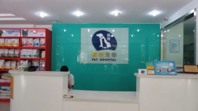 走近瑞派宠医|胡浩院长：好医生要慢着来