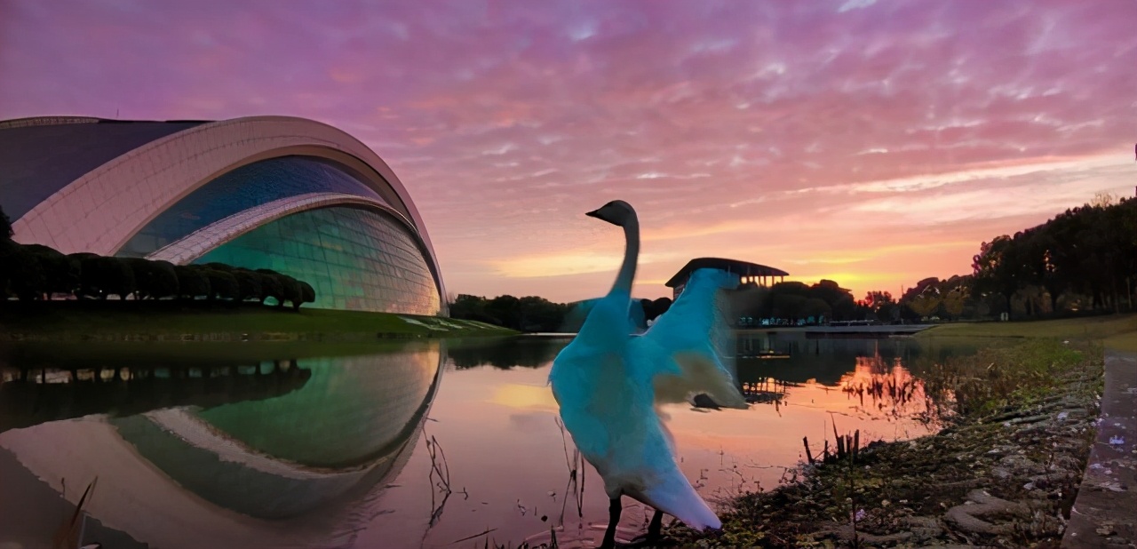 上海美术高考学费,上海视觉艺术学院2021录取分数线