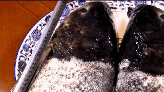 在合肥也能吃到地道的重口味,合肥好吃的鱼头1912