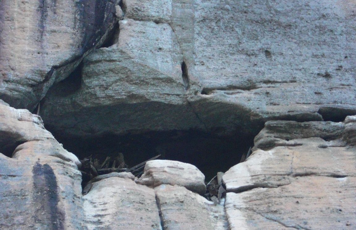 武夷山两天一夜要带什么去,旅游团武夷山两天一夜游99元