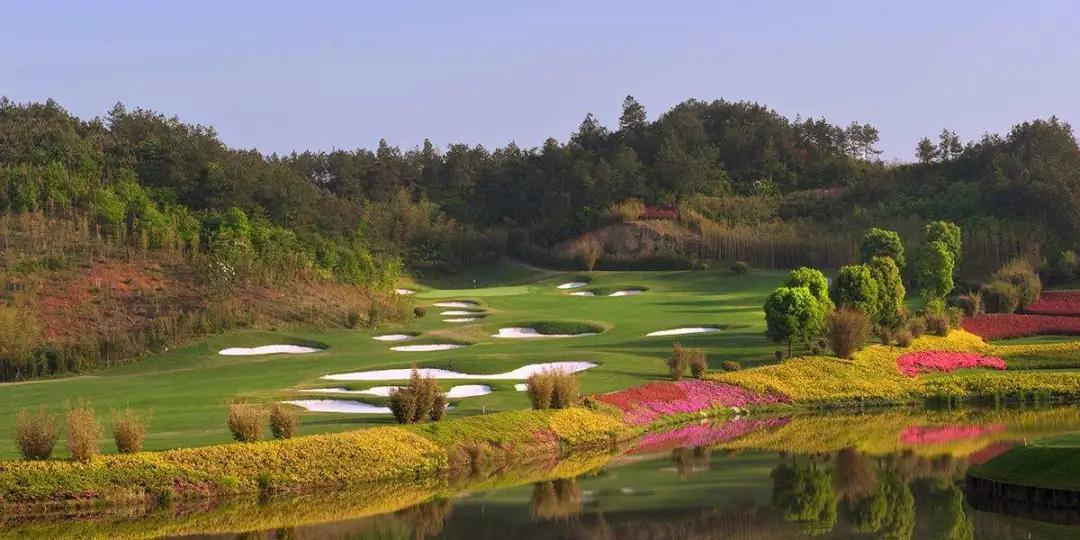 绿城龙王溪小镇房价多少钱,绿城龙王溪小镇二期价格