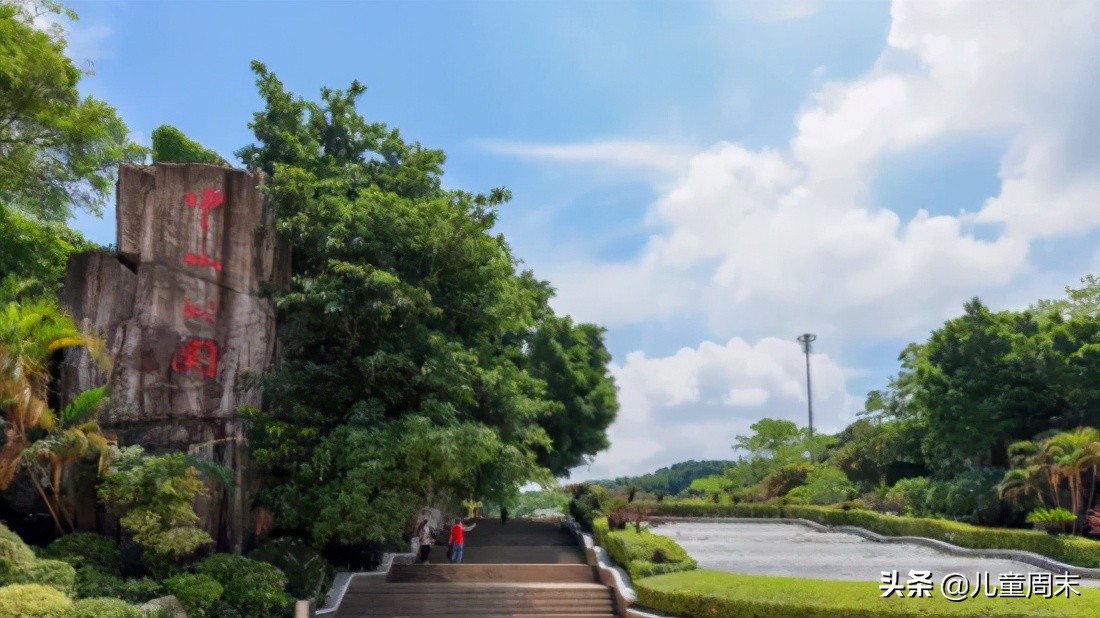 深圳南山外国语小学排名,深圳南山麒麟小学最新排名