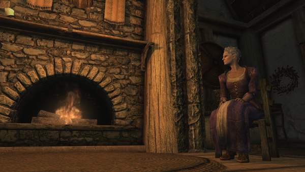 老滚最强mod,老滚五随从数量mod