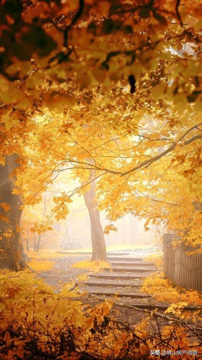 晨读激励人心的美好句子,晨读生命中遇到的每一个人