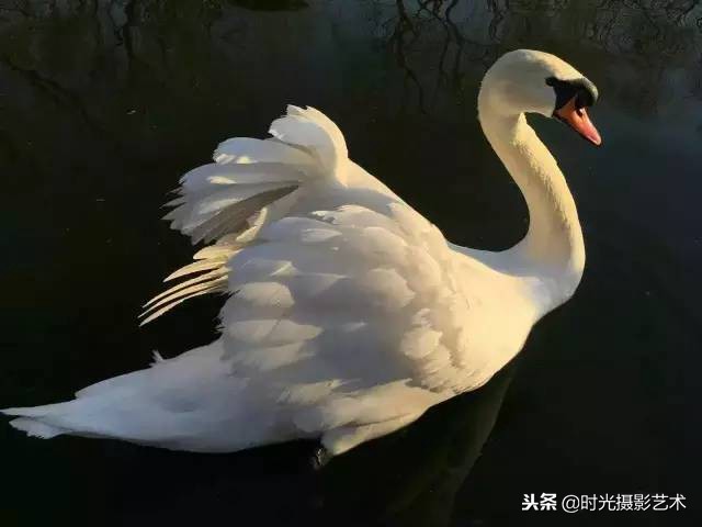 手机摄影人像创意作品教程,手机拍摄光影的艺术教程