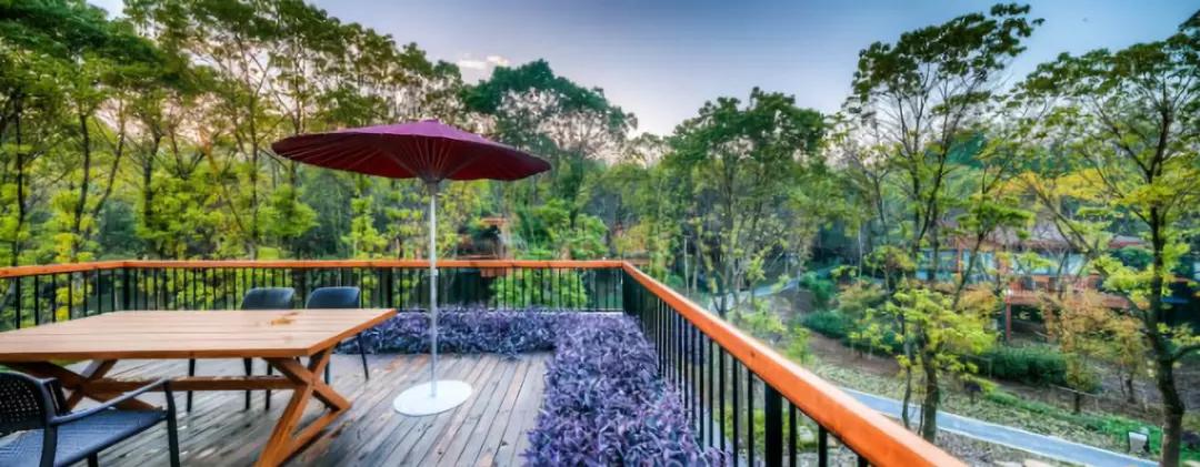 苏州网红拍照写真馆,苏州一宿三餐100元民宿