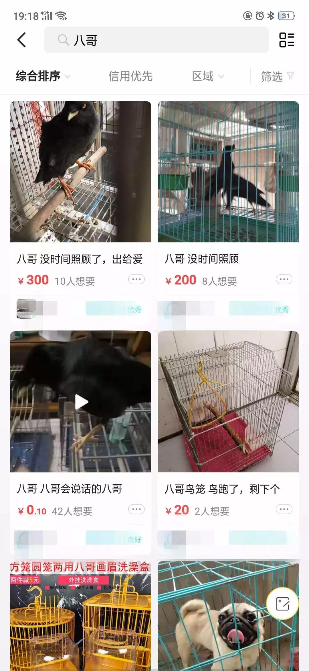 涉黄、买卖野生动物？原味*裤内**？从万能的淘宝，到万能的闲鱼