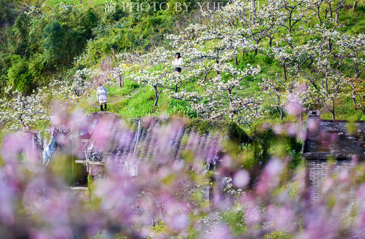 潼南桃花山景区,潼南春游踏青最佳地